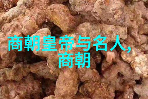 中国历史故事有哪些探索古代英杰与奇迹的篇章