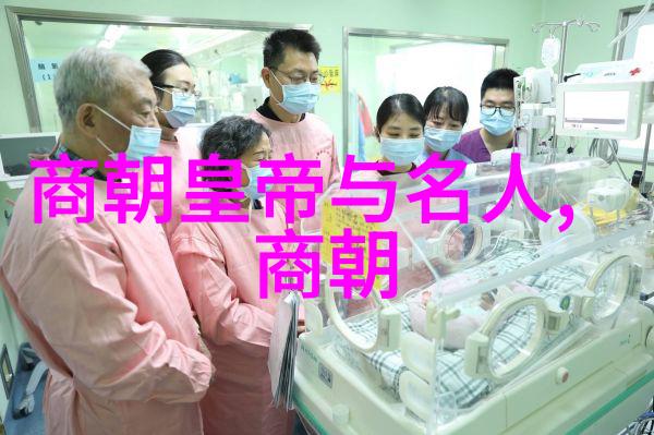 中国历史文化深度探索古代文明帝制王朝中华民族的融合与发展