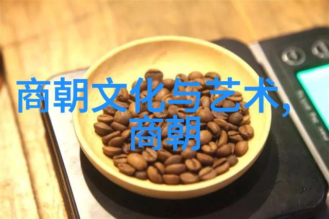 历史探索-追溯古老文明比夏朝早的三个朝代