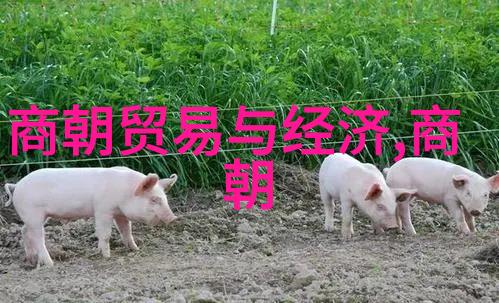 黄梅戏旦行传奇潘璟琍的筱玉琴之声今夜可下载聆听