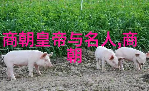 古韵初启青春朝代诗的背诵之旅