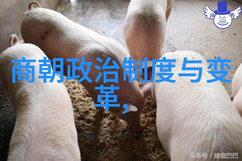 姜尚姜子牙商朝贸易与经济的兴周良辅之旅犹如一条金线穿梭于历史的织品上