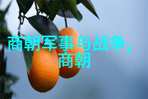 穿越时空的历史大反转揭秘明朝课本里的那些不太光鲜的故事