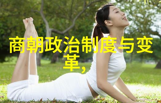 宋朝的辉煌专家们为何热爱这个古代帝国历史文化政治经济社会进步