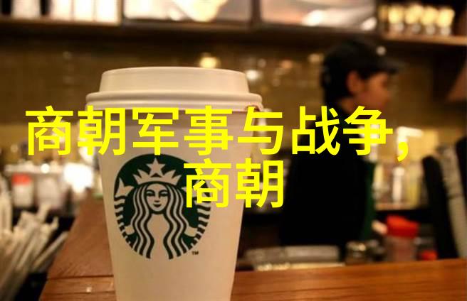 历史探究-揭秘宋朝覆灭元朝的征服与文化融合