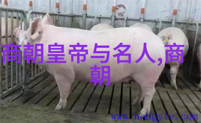 明朝煌华与沉沦盛世变革与衰落的交响曲