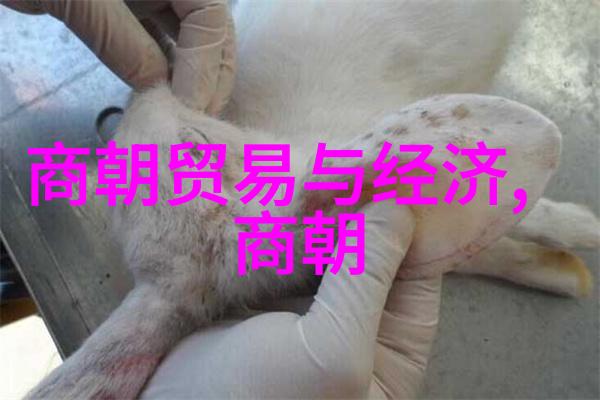 明朝巨变太监王振的崛起与下fall