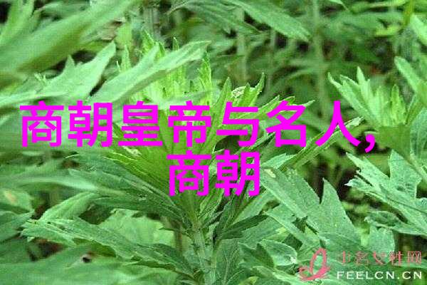 从废帝到天命所归揭秘如何塑造了一个新的国度主宰者