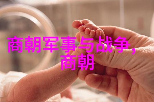 京剧尚派旦角王艳演绎经典唱段百首书籍收藏珍品