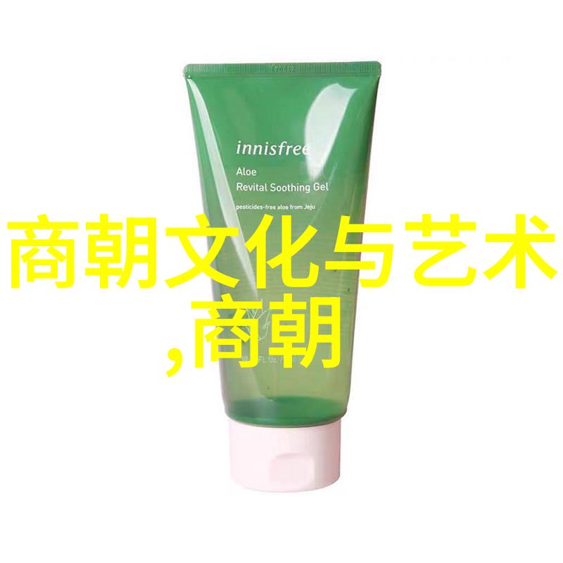 帝王的足迹穿越明清两代的历史篇章