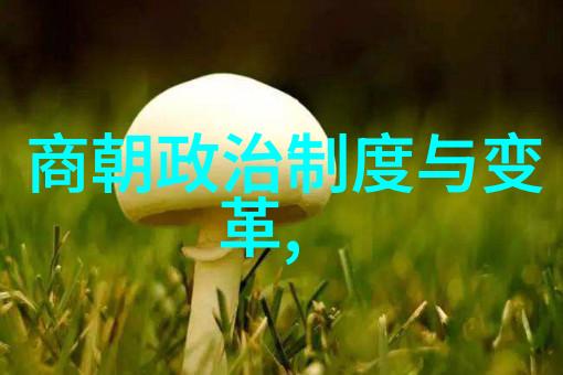 明朝历史被丑化的背后探索那些隐藏的原因