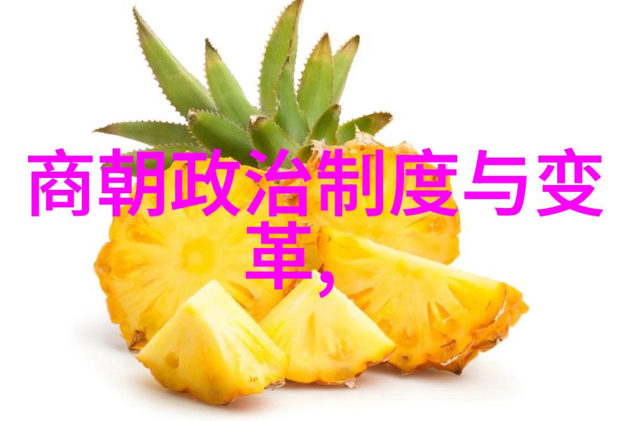 乾隆帝的妃嫔故事探索一代皇权背后的宫廷纷争