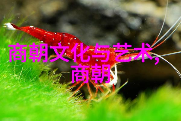 历史的遗憾沉浮朝代的轮回