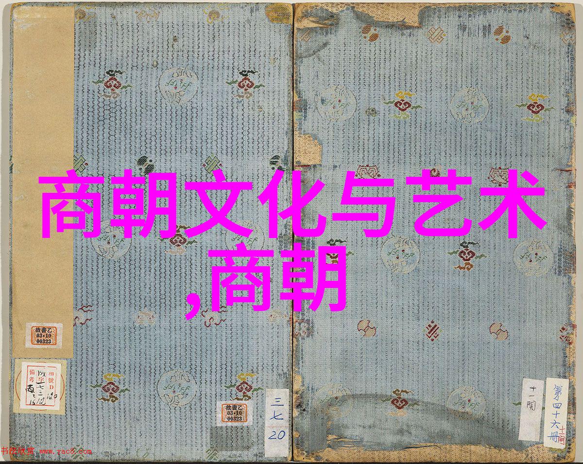 御史大夫揭秘中国王朝实力的巅峰之战