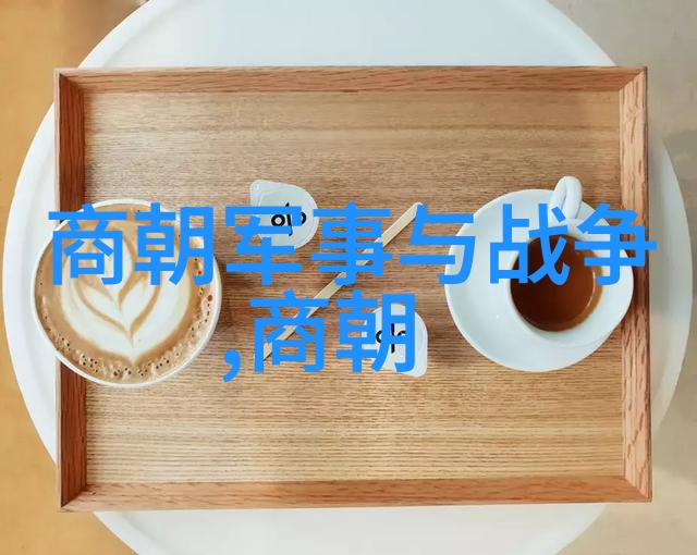 哪一本历史书籍让你对唐朝的魅力印象深刻