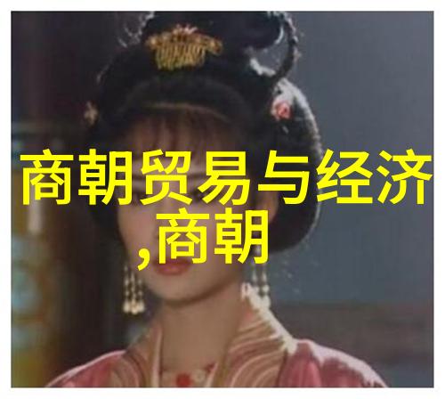 穿越时空的秘密图书馆明朝那些事的未删减篇章