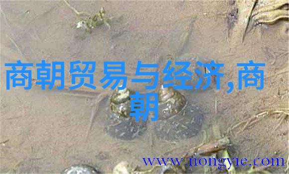 明朝那些事读书心得-朱元璋与历史的沉思从明朝那些事看帝王的孤独