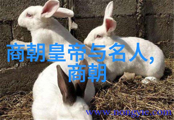宋朝皇帝与名人赵佶的盛衰悲歌