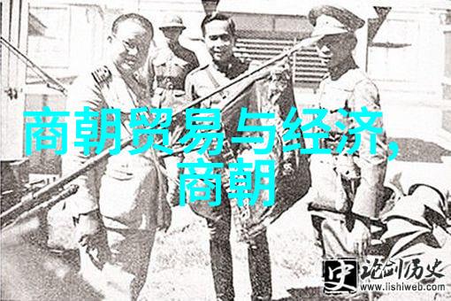 唐朝盛世之光与衰落的故事