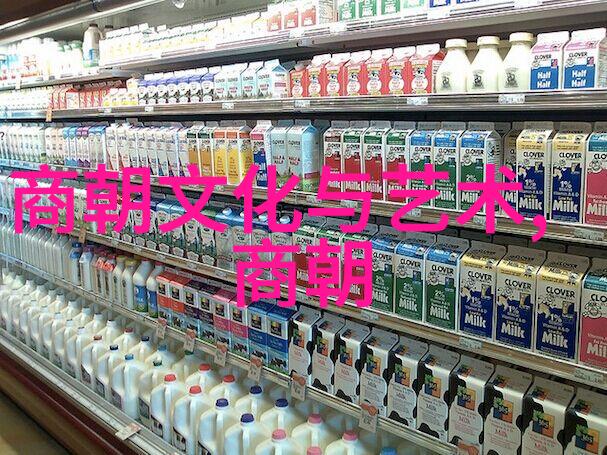 尘封的历史土木堡血战记