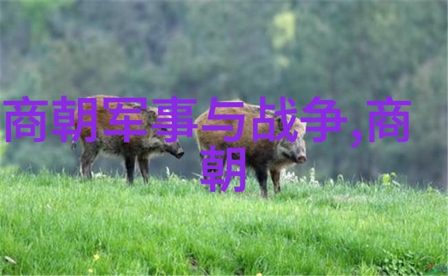 明朝那些事儿秦良玉的逆袭之路我怎么看这个传奇人物