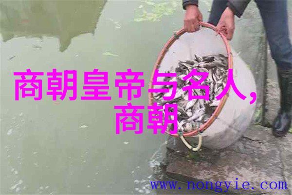 元朝覆灭与明朝崛起历史的交接点