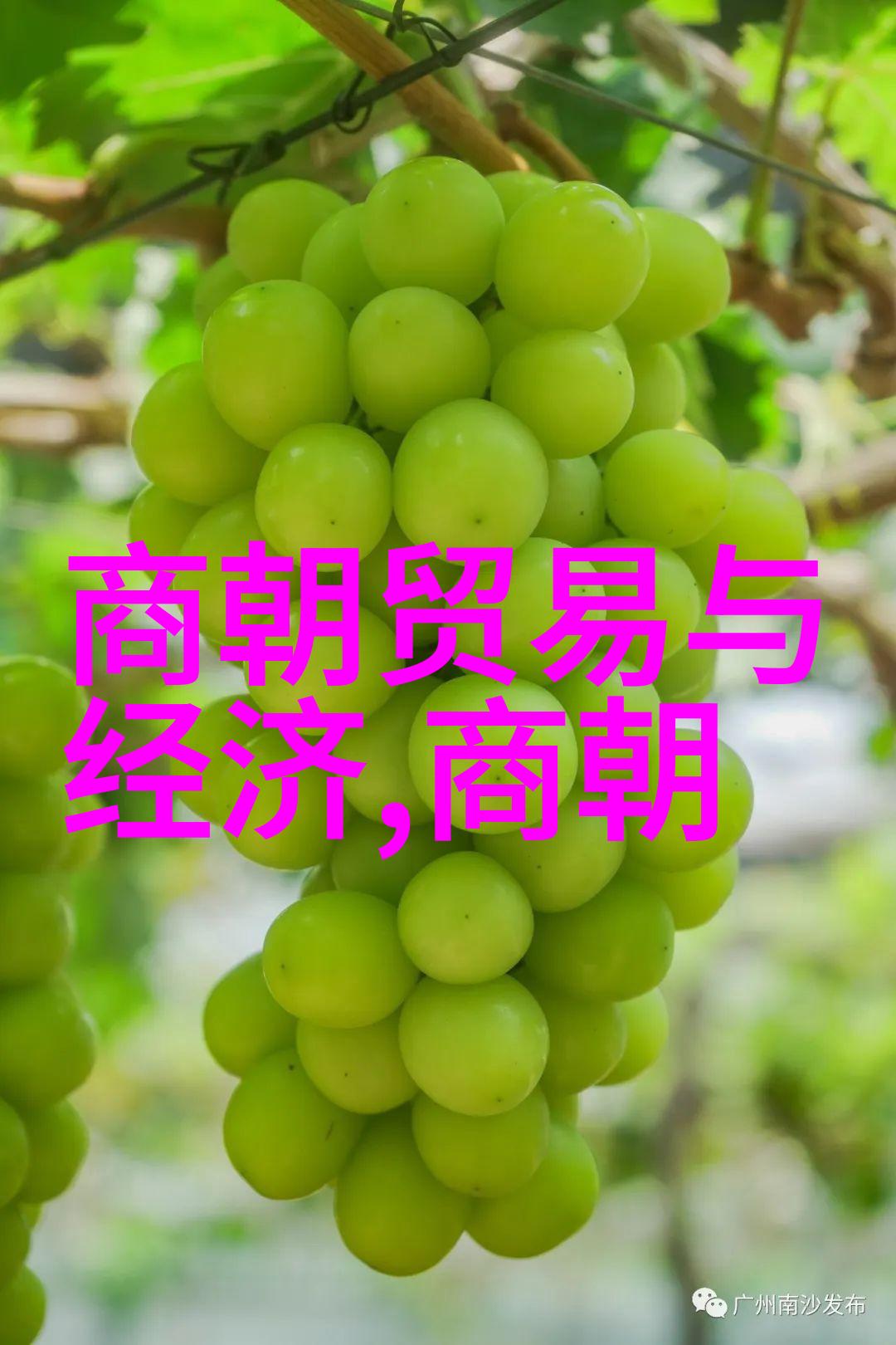 元朝属于外族入侵吗我是怎么想的历史上的蒙古人到底算不算外来者