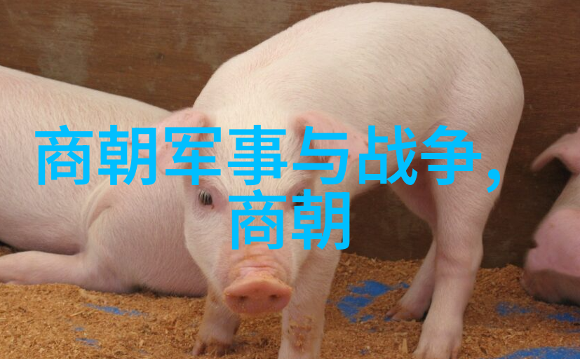 明朝风华传奇电视剧中的历史与艺术融合