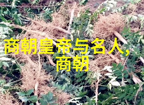 揭秘明朝辉煌历险穿梭于龙椅与战场之间的历史讲解视频