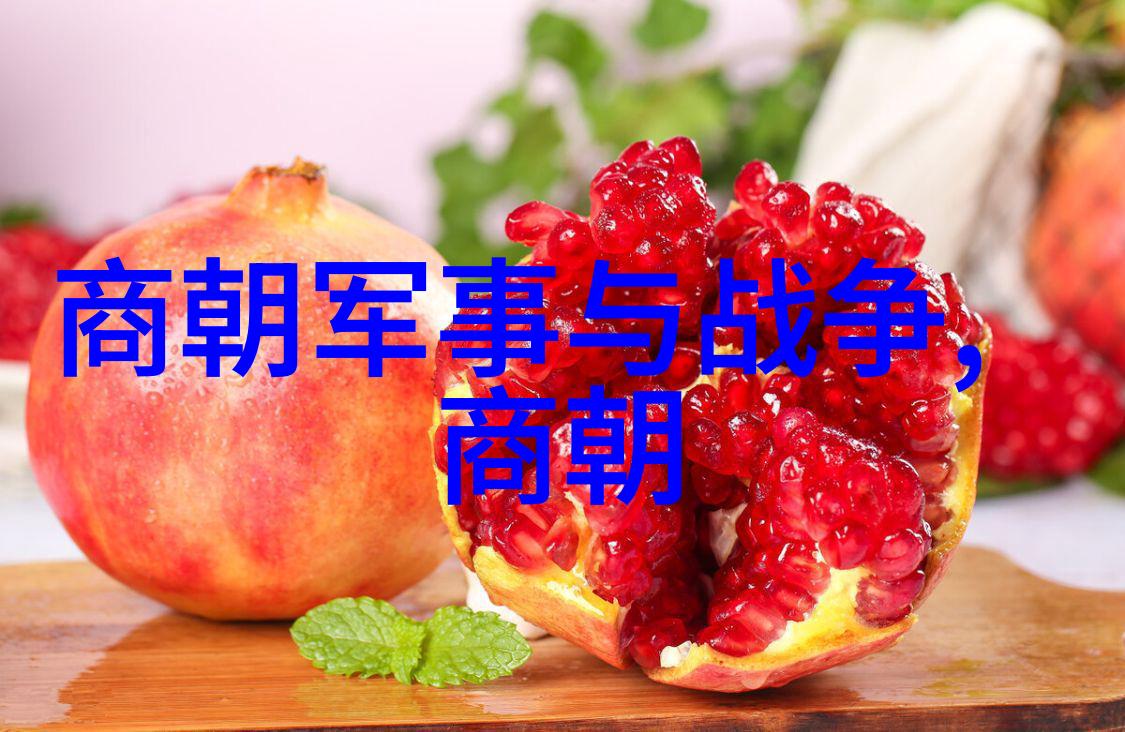 明朝那些事剑锋斩断血肉为刍狗