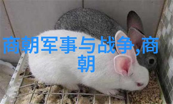 元朝的领土扩张从蒙古帝国到中亚之路
