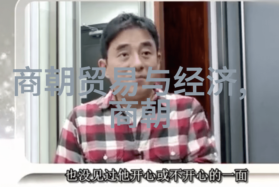 英语课代表的网络视频冒险