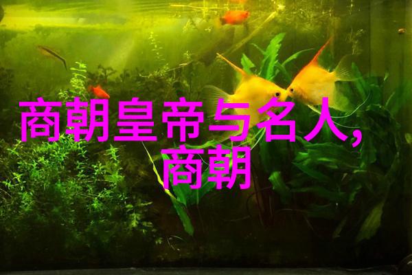 辽阔的历史长卷探秘元朝帝王们的故事