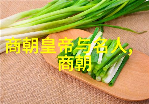 时光裂缝历史朝代的秘密交错