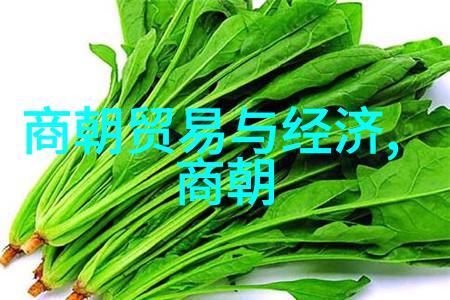 明朝梦回卿卿悠然逍遥的时光