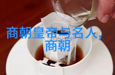 政权更迭历史的转折与时代的变革