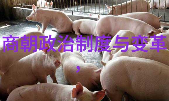 中华上下五千年元朝故事简介 - 元代风华忽必烈的征服与文治篇