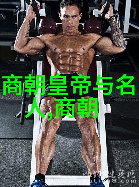 明史探秘选读经典与深度分析