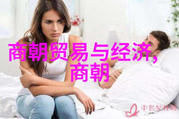 明朝历史视频播放方法探索中国古代的辉煌与变迁