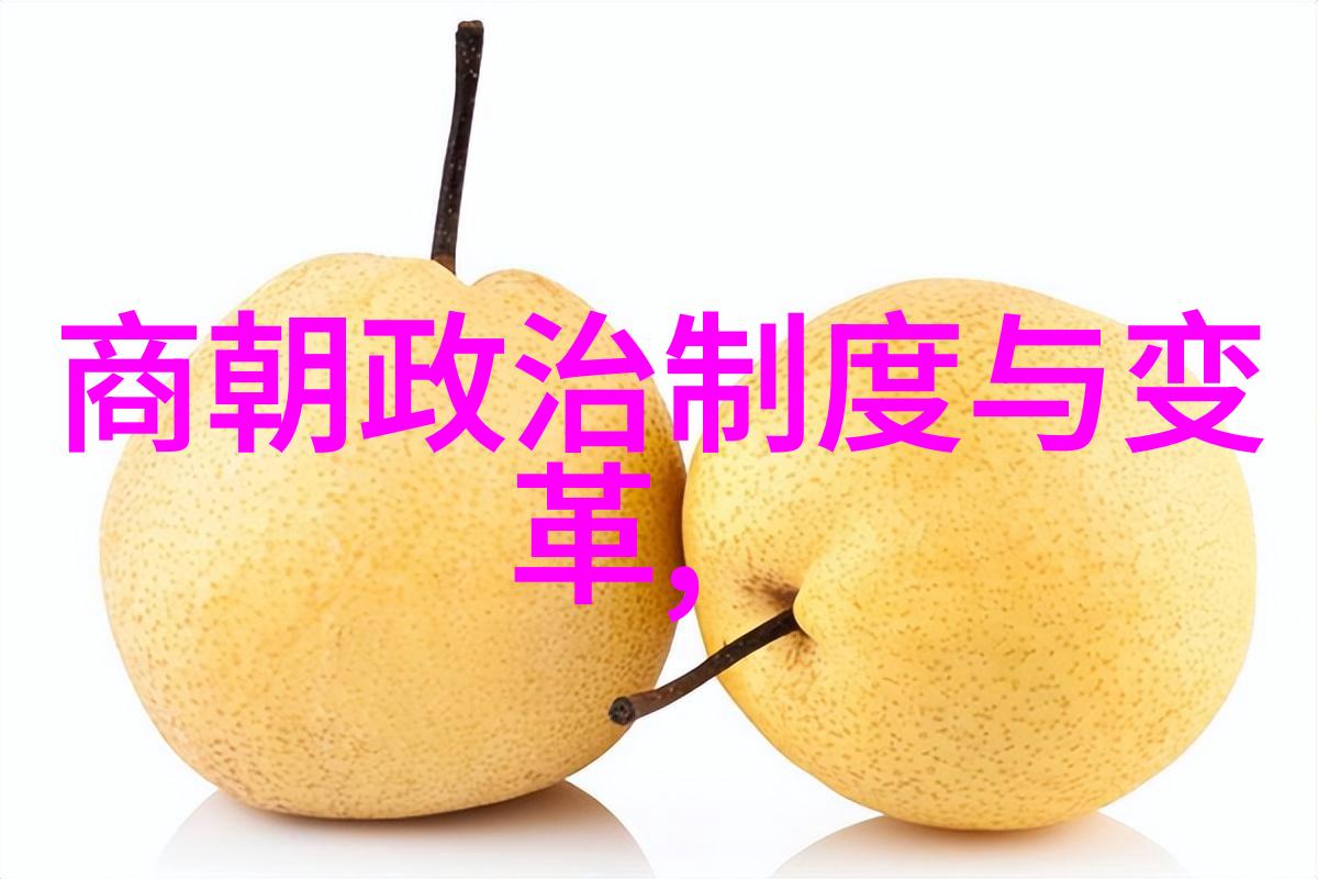 探索元朝疆域的辉煌与缩小