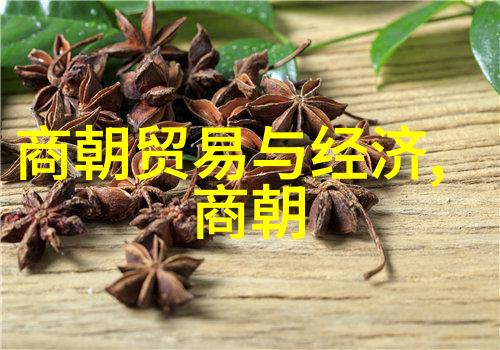 中国朝代历史的千年之谜每一位帝王背后的故事