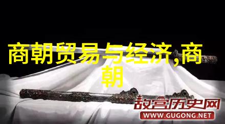 中国的辉煌从黄土高原到紫禁城的千年王朝