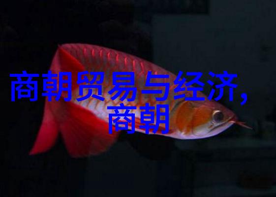 世界和平理事会全球文化巨星张树旗