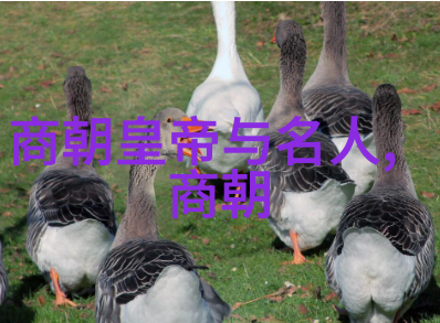 曲剧名家高兴旺的豫剧丑行演绎