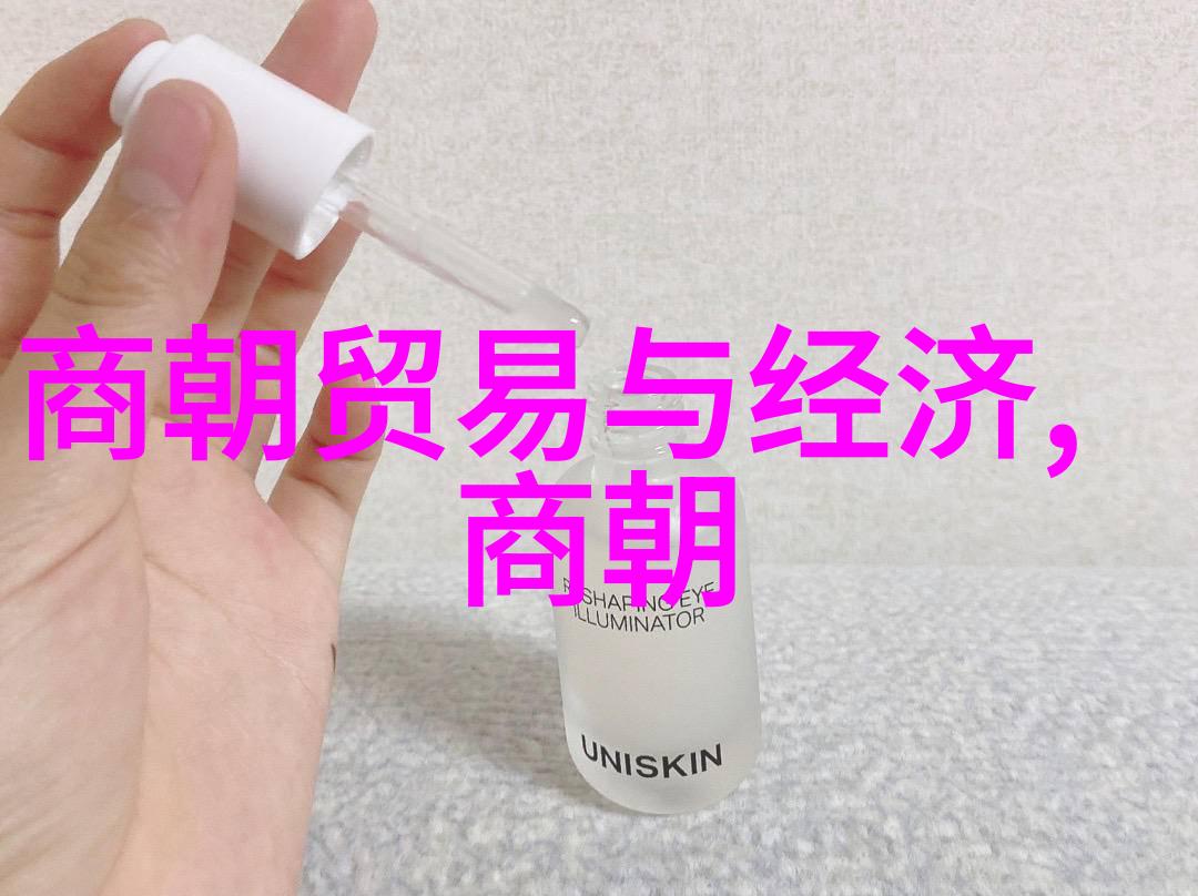 庶女成妃一段皇家奇缘的故事