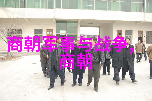 宋代南朝的文化盛世与政治秩序探究