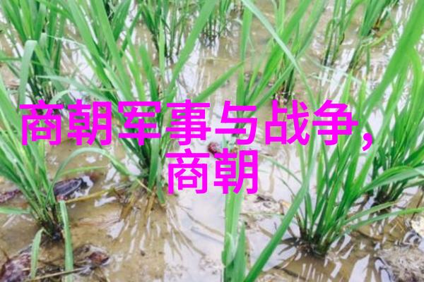 从宫廷到家谱解密博果尔娘是谁比孝庄尊贵的谜题
