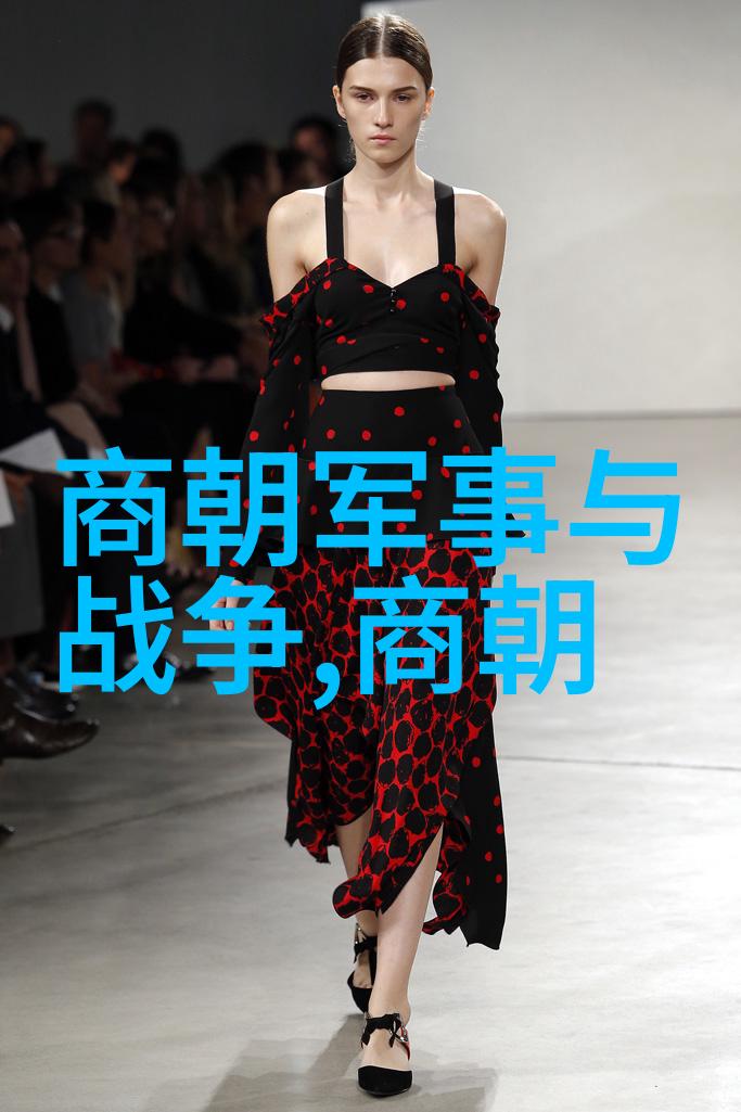 晋朝的光辉与影子一代帝王如何在乱世中维系四百年的文明