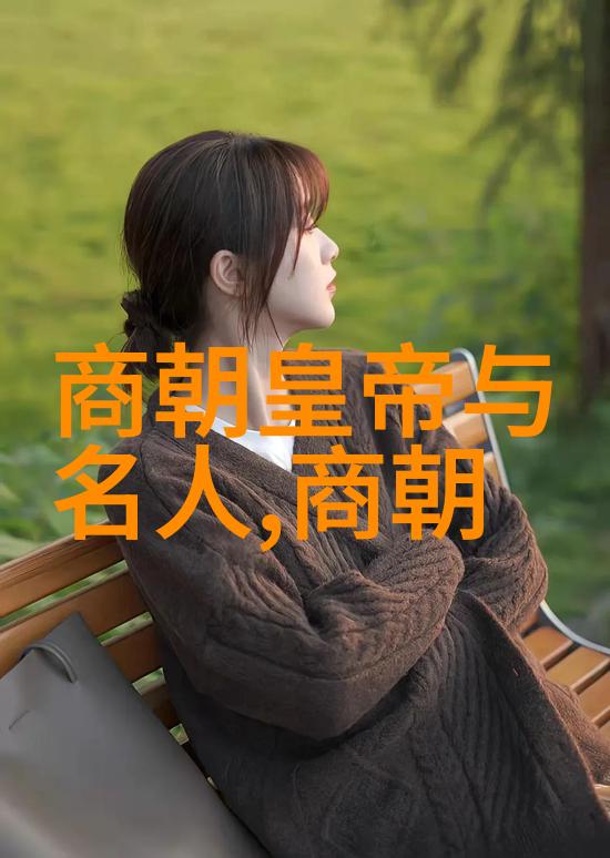 绘图中国历史简表的艺术与科技