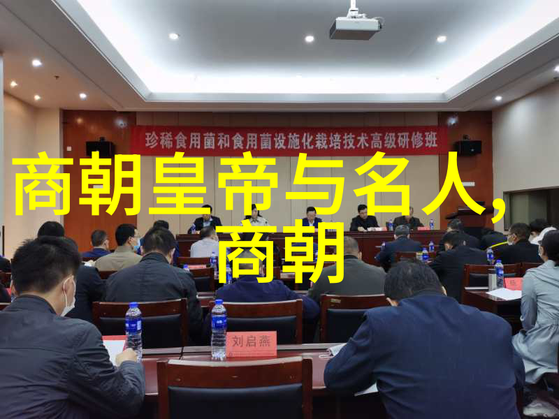 宋代史料中的迷雾真实与虚构的边界在哪里